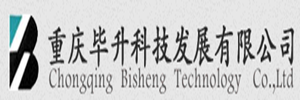 重庆毕升科技发展有限公司
