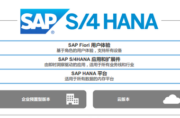 SAP S/4 HANA