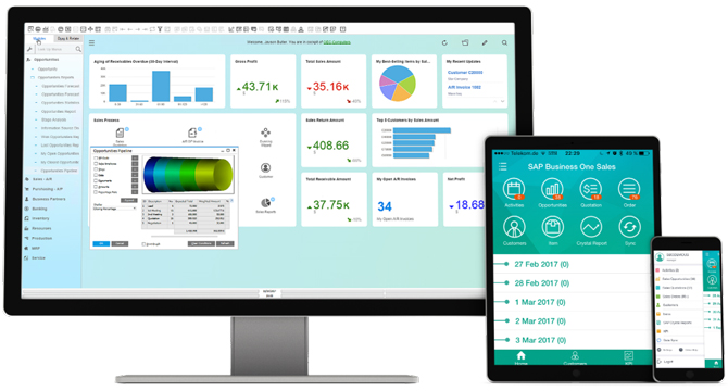 SAP Business One软件界面