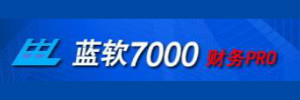 蓝软7000财务