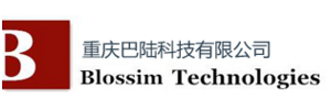 重庆巴陆科技有限公司