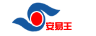 安易王V5财务软件
