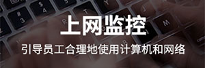 正版天锐绿盾行为审计系统
