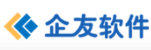 企友3e财税一体化管理软件