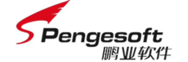 成都鹏业软件股份有限公司