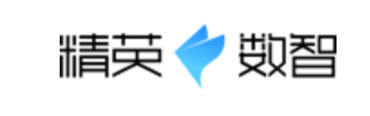 精英数智科技股份有限公司