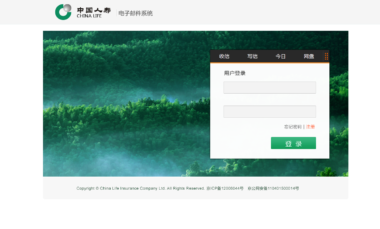中国人寿集团