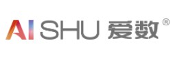 上海爱数信息技术股份有限公司