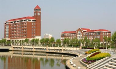 上海交通大学高通量微型生物反应器和自动化气体分析系统国际公开招标公告