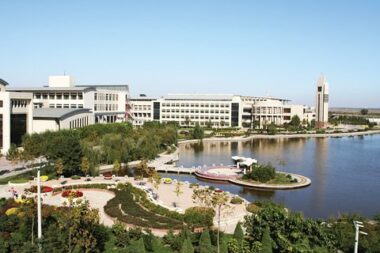 中国民航大学关键安全性数据的收集与监控平台采购项目招标公告