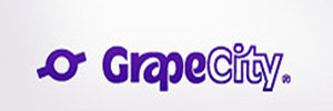 ActiveReports COM