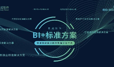 数据分析软件+BI解决方案，落地更快、更安全