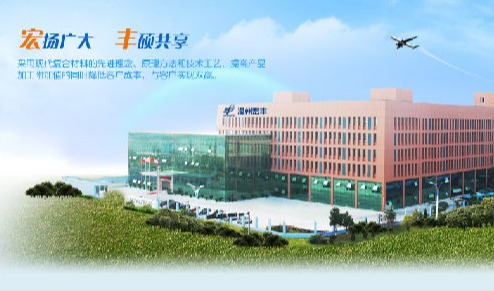 温州宏丰电工合金股份有限公司引进SIPM/PLM