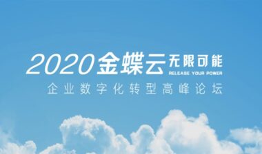 金蝶企业财务管理软件