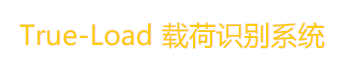 True-Load载荷识别系统