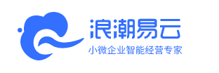 浪潮云会计