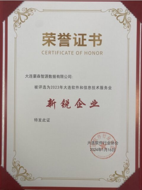 软件新锐企业