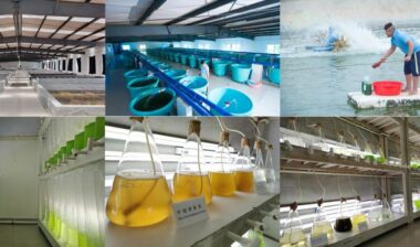 恒兴饲料LIMS系统顺利通过验收