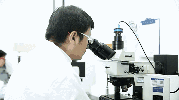 重新定义DQE,PQE/MQE,SQE