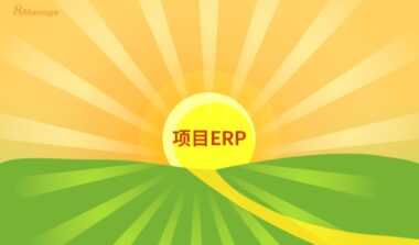什么是项目ERP系统？
