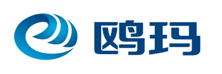 山东山大鸥玛软件股份有限公司