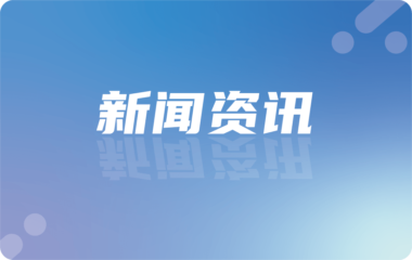Microsoft Project版本与功能配置说明