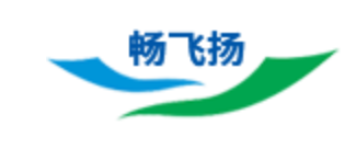 深圳市畅飞扬信息系统有限公司