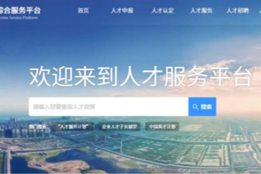 高层次人才一站式服务平台系统开发，人才综合服务平台