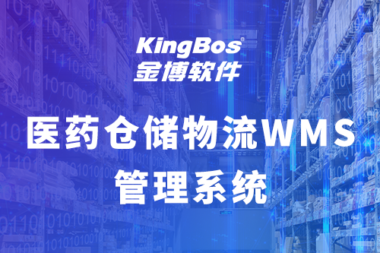金博软件医药WMS系统的功能特点