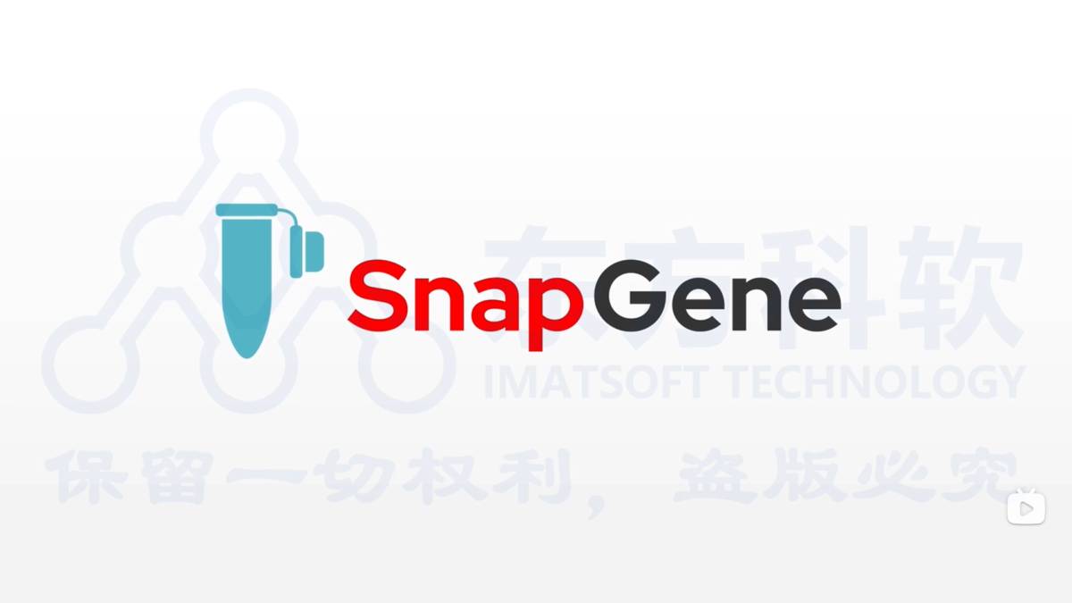 SnapGene简介