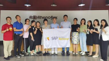 东莞雷仕SAP ByD数字化升级一期成功上线