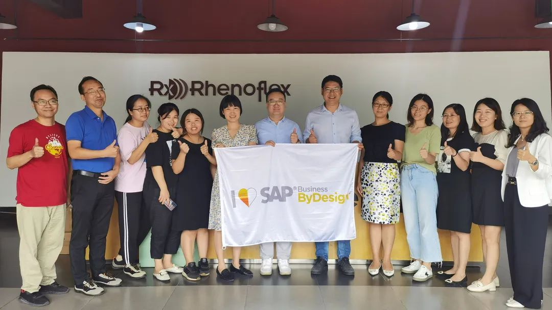 东莞雷仕SAP ByD数字化升级一期成功上线