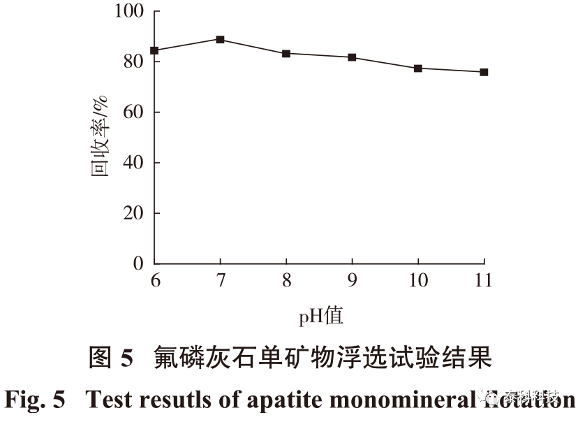 【MS应用实例】东北大学朱一民教授成果展示：基于CASTEP模拟的氟磷灰石与十二烷基磷酸酯作用机理研究