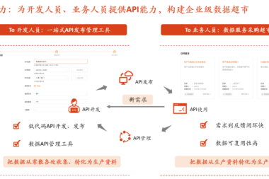 数据API开发如何快速上手：先了解什么是数据API生命周期管理