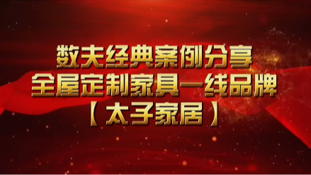 数夫软件助力太子家居数字化转型