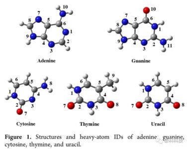 【Turbomole应用实例】大连化学物理研究所韩克利教授团队成果：核酸碱基在水中的电离和电子附着力