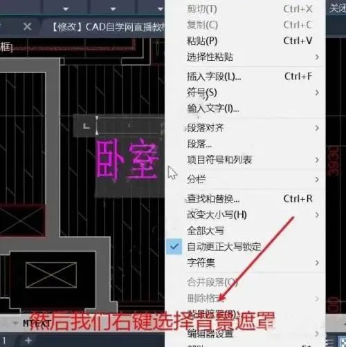 CAD填充后背景遮罩怎么用?