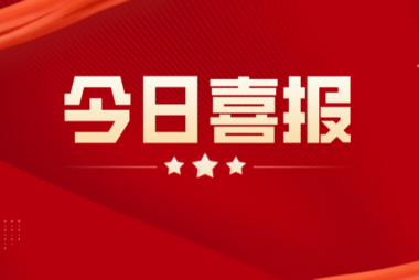 喜讯│赛思软件被纳入“东莞市数字化转型服务商”