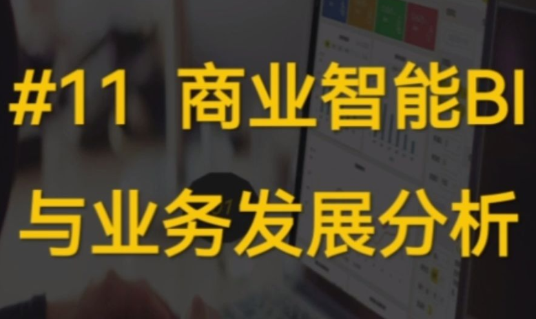 #011 商业智能BI与业务发展分析