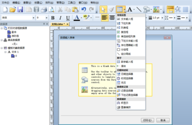BarTender 2016数据输入表单的改进