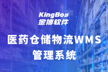 使用金博医药 WMS 仓储管理系统给企业带来了哪些好处？
