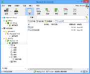 详解 Navicat 导入向导的步骤