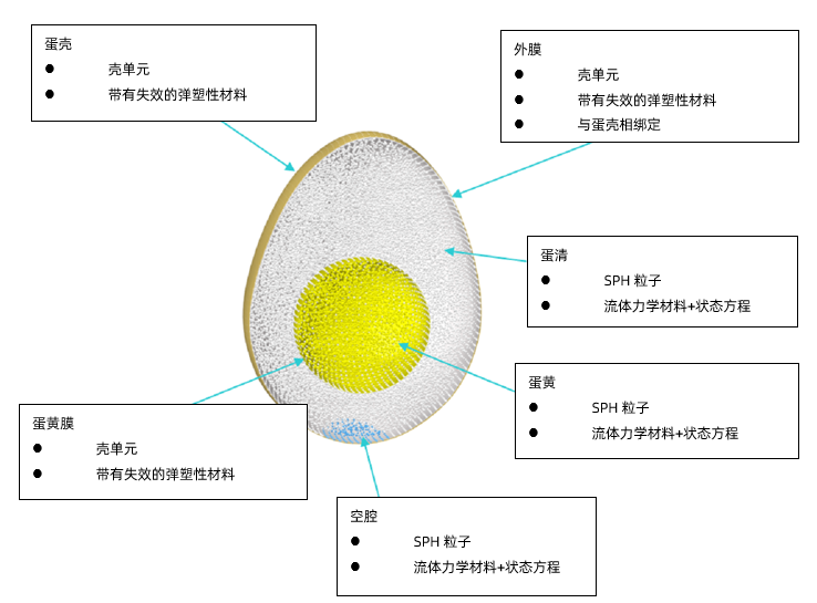 【数字揭秘】不起眼的鸡蛋能支撑起一个人的体重吗?