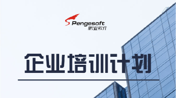鹏业软件企业定制培训