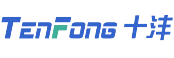 TF-CFlow