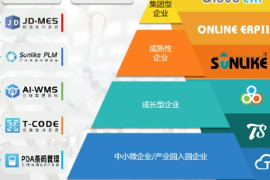 天心天思ERP成功案例分析