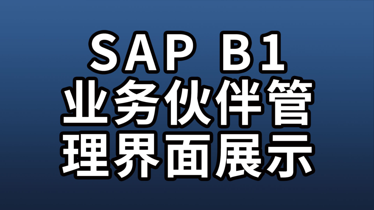 SAP Business One 业务伙伴管理界面展示