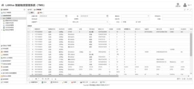 运输管理系统 LitWise TMS 是什么