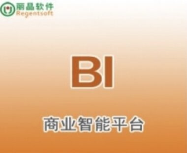 丽晶BI商业智能 简介