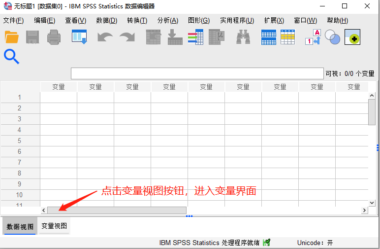如何用IBM SPSS Statistics添加数值标签
